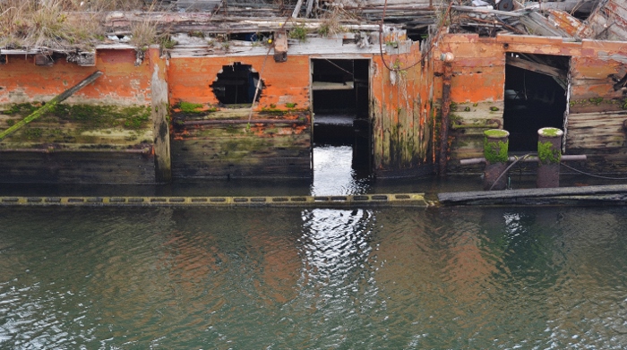 The Mary D. Hume Shipwreck